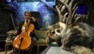 David Teie, an US composer and cellist, prepares to play his cello during a interview to promote his new album 