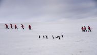 Tourists and Barbijo penguins (Pygoscelis antarcticus) are seen on Half Moon island, Antarctica on November 09, 2019. AFP / Johan Ordonez 