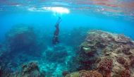 Oliver Lanyon, Senior Ranger in the Great Barrier Reef region for the Queenlsand Parks and Wildlife Service, takes photographs and notes during an inspection of the reef's condition in an area called the 'Coral Gardens' located at Lady Elliot Island and 80 kilometers north-east from the town of Bundaberg in Queensland, Australia, June 11, 2015. REUTERS/David Gray/File Photo