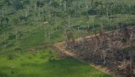 An aerial view shows a deforested plot of the Amazon rainforest in Rondonia State, Brazil September 28, 2021. Picture taken September 28, 2021. REUTERS/Adriano Machado/File Photo