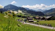 General view of the peloton in action during stage 9 of Tour de France. (REUTERS/Christian Hartmann)