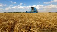 A combine harvests wheat during Ukraine-Russia conflict in the Russia-controlled village of Muzykivka in the Kherson region, Ukraine, July 26, 2022. (REUTERS/Alexander Ermochenko)