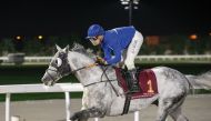 Nijinski Al Maury in action with Giuseppe Cultraro in the saddle. Pictures: Juhaim/QREC