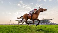 Jockey Christophe Soumillon guides Al Shaqab Racing’s Al Ghadeer to H H The Amir Sword victory on the final day of H H the Amir Sword Festival 2024 at the Al Rayyan Racecourse yesterday. Pic: Juhaim/QREC