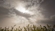 A picture taken on April 8, 2024 shows a rapeseed field under thick sand dust blown in from the Sahara, giving the sky a yellowish appearance near Daillens, western Swizterland. (Photo by Fabrice COFFRINI / AFP)
