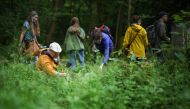 People taking part in a plant foraging tour run by Forage London are shown how to identify various edible plants by tour guide and park ranger Kenneth Greenway at Tower Hamlets Cemetery Park, in London, May 18, 2024. Photo by HENRY NICHOLLS / AFP