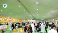 Mango lovers at the Souq Waqif festival. Picture: Salim Matramkot / The Peninsula 