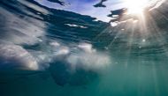 This underwater photograph taken on August 16, 2023, shows fragments of a melting iceberg due to unusually high temperatures in Scoresby Fjord, Greenland.  Photo by Olivier MORIN / AFP