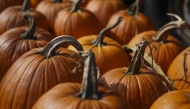 Pumpkins on display in Door County, Wisconsin, in October 2023. Photo credit: Carolyn Van Houten/The Washington Post