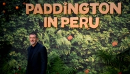 Spanish actor Antonio Banderas poses on the red carpet upon arrival to attend the world premiere of 