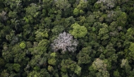 An aerial view shows the Amazon rainforest at the Bom Futuro National Forest near Rio Pardo in Porto Velho, Rondonia State, Brazil, September 3, 2015. (REUTERS/Nacho Doce)