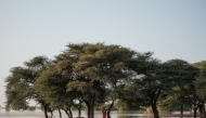 (Files) A man watches flood waters pass surrounding a group of trees in Orefonde on October 22, 2024. (Photo by Guy Peterson / AFP)