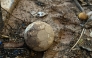 A ball lies on the mud at a flood damaged sports center in Paiporta, in the region of Valencia, eastern Spain, on November 10, 2024. 130,000 people marched yesterday in Valencia to voice their anger at the authorities' handling of deadly floods as thousands also marched in other Spanish cities. (Photo by JOSE JORDAN / AFP)
