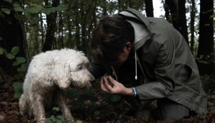 Truffle hunter Carlo Marenda and his dog Buk search for white truffles in Treiso, near Alba, northwester Italy, on October 29, 2024. Photo by MARCO BERTORELLO / AFP