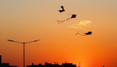 Kites are silhouetted against the setting sun during the 'Qatar Kite Festival 2025' at Old Doha Port in Doha on January 21, 2025. (Photo by Karim JAAFAR / AFP)