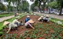 Workers plant flowers along a street in Hanoi on March 18, 2025. (Photo by Nhac NGUYEN / AFP)