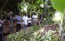 File photo for representational purposes only. Farmers take part in a training on organic farming techniques in macadamia production in Githure, in central Kenya. TRF/Caroline Wambui