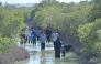 The Weill Cornell Medicine-Qatar students identified marine invertebrates and collected specimens on the Purple Island.