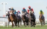 Action will begin with 40th Al Rayyan Meeting today.