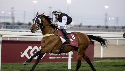 Marco Casamento guides Safeer Al Shahania to Athbah Cup win. Pictures: Juhaim/QREC