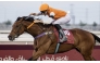 Pierre Charles Boudot guides Kerindia to victory in the Season Finale Trophy - Thoroughbred (Class 1) race at the 43rd Al Rayyan Race Meeting. Pictures: Juhaim/QREC
