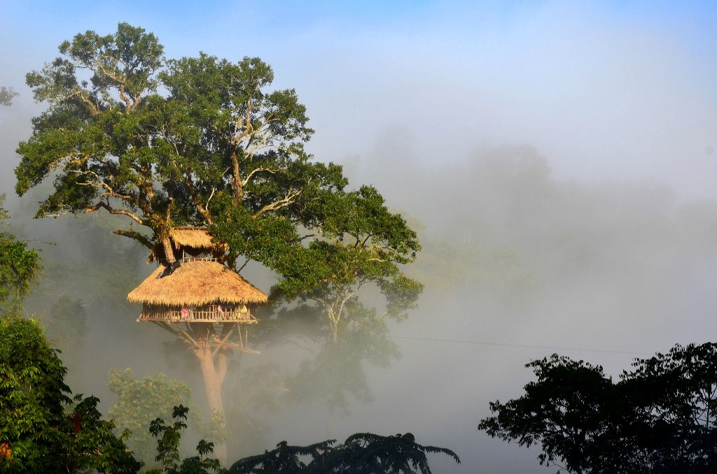 As part of the Gibbon Experience, you sleep in some of the tallest treehouses in the world deep in the jungle in northwest Laos. (Photo by Felipe Rodriguez Vasquez for The Washington Post)