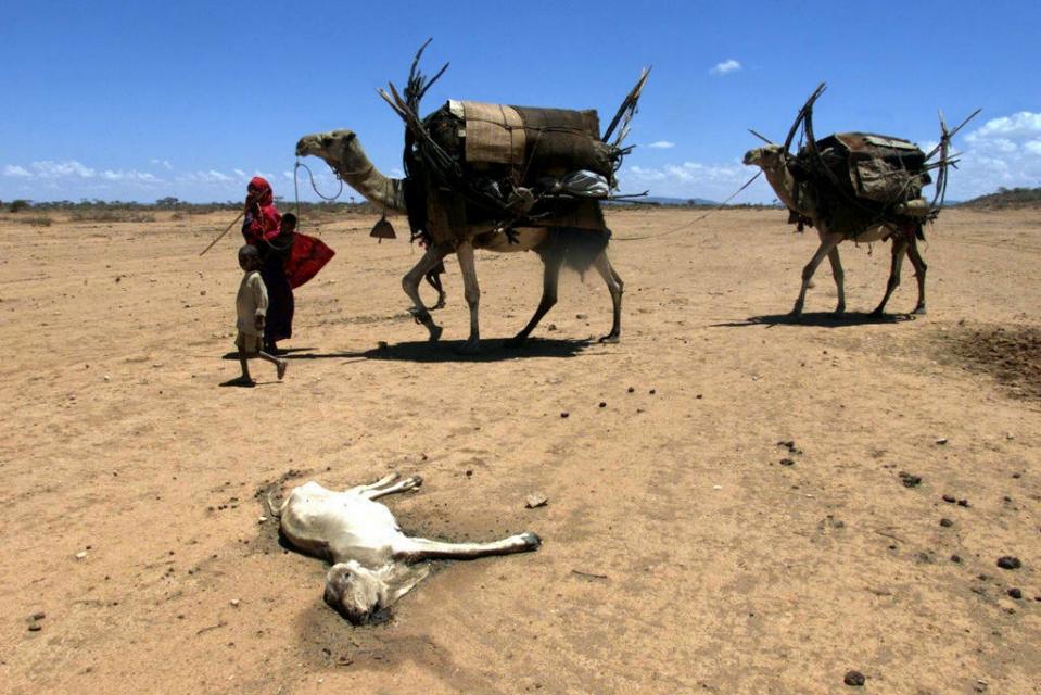Representative image (AFP / Joel Robine)