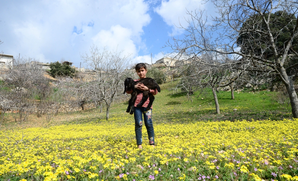 A 9-year-old kid Meryem Bakir poses for a photo with her goat as she walks around freely after returning to her house with her family members in Omer Ushagi village, located west of Afrin on February 25, 2018. Soner K?l?nç - Anadolu