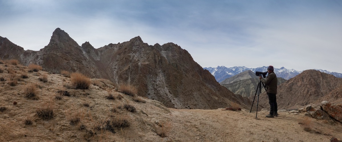 Tsewang Norboo at work scanning for snow leopards and other wildlife in the Ulley Valley, Ladakh, India. Photo for The Washington Post by Dina Mishev