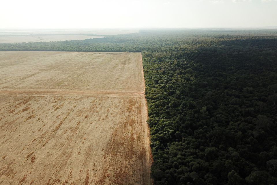 An aerial view shows deforestation near a forest on the border between Amazonia and Cerrado in Nova Xavantina, Mato Grosso state, Brazil July 28, 2021. Picture taken with a drone on July 28, 2021. REUTERS/Amanda Perobelli
