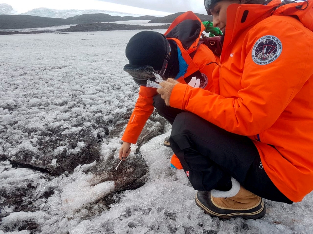 Argentine doctor Mariela Torres and intern doctor Nathalie Bernard take samples of the Antarctica soil for their project to use native microorganisms to clean up pollution from fuels and potentially plastics in the pristine expanses of the white continent, in Antarctica January 30, 2022. Florencia Brunetti/Handout via REUTERS