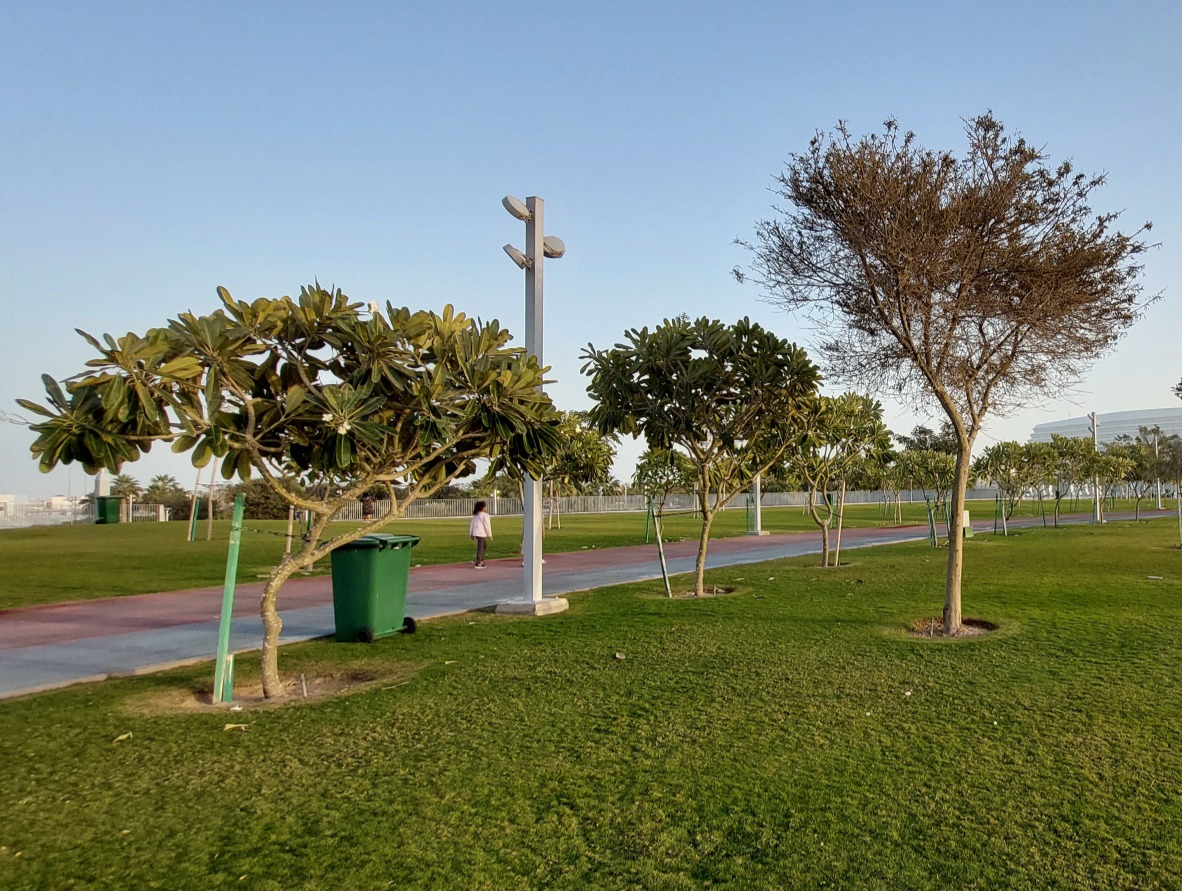 Park at Al Janoub Stadium. Pic: Salim Matramkot / The Peninsula 