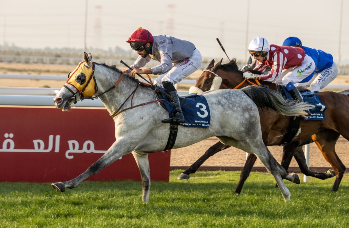 Jockey Faleh Bughanaim guides Al Shaqab Racing’s Algrain towards the finish line to win the Ain Khaled Cup at Al Uqda Racecourse.