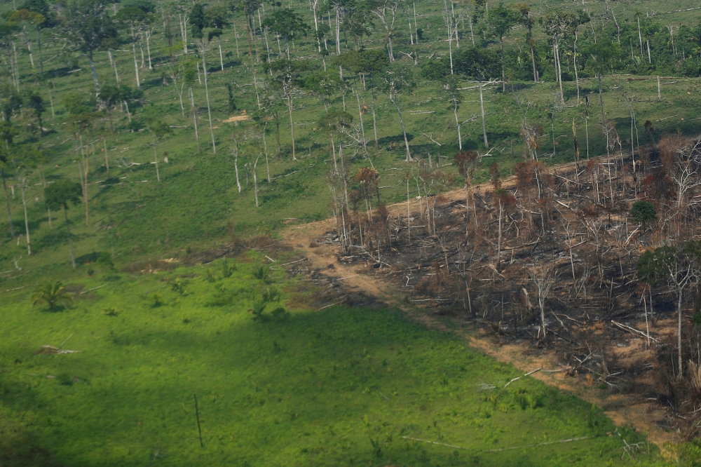 An aerial view shows a deforested plot of the Amazon rainforest in Rondonia State, Brazil September 28, 2021. Picture taken September 28, 2021. REUTERS/Adriano Machado/File Photo