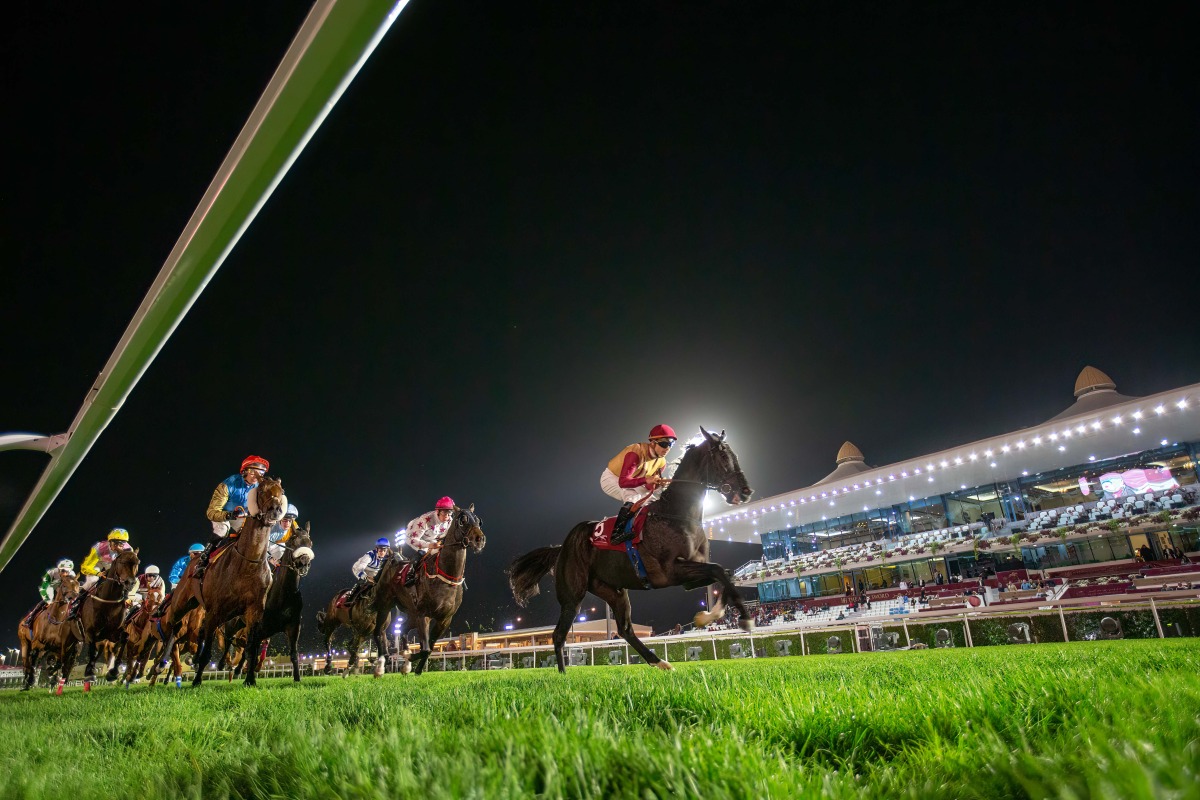 Action at Al Rayyan Racecourse during the second day of the HH The Amir Sword Festival yesterday. Pic: Juhaim/QREC 
