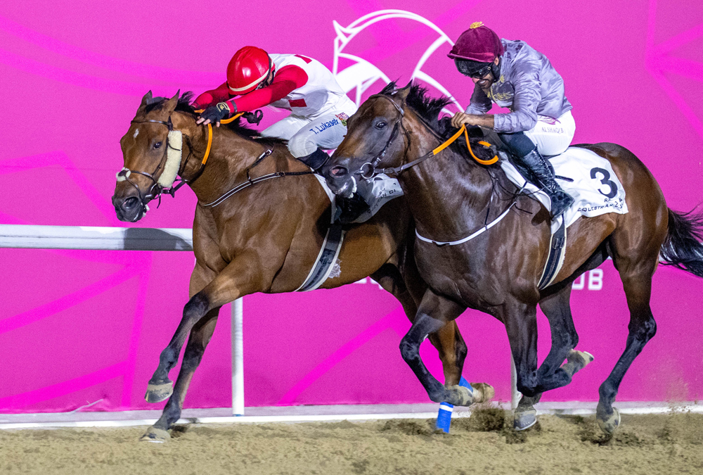 High And Wide under Tomas Lukasek outpaces Lauded, ridden by Faleh Bughanaim yesterday. PICS: Juhaim/QREC