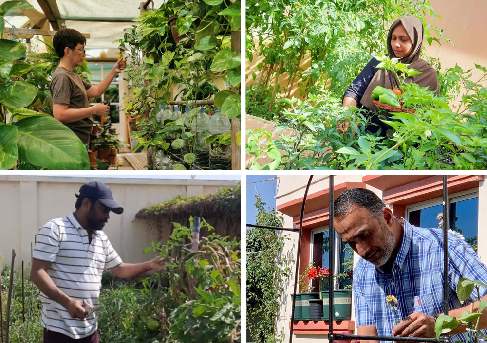 Clockwise from top left: Jocelyn Fernando, Jumna Saju, Omer Cheema and Rajesh Kuruvan in their green space