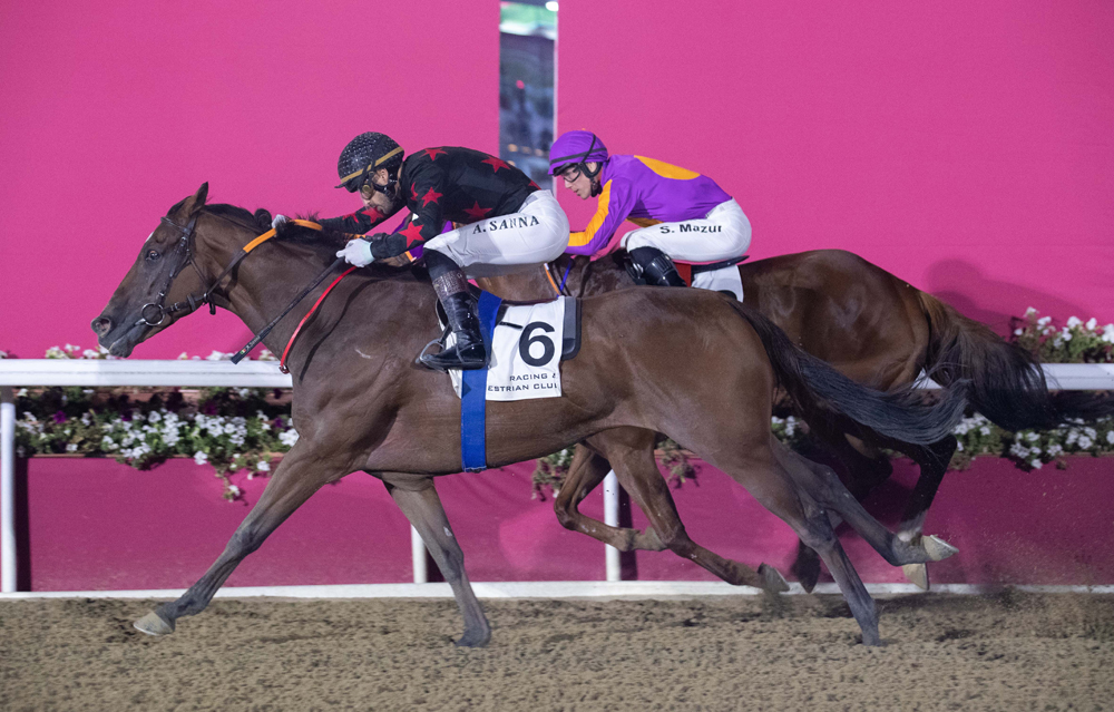 Ushayqer, guided by Alberto Sanna,  takes lead against Dhergham Bu Thaila, ridden by Szczepan Mazur, on Wednesday night. PIC: Juhaim/QREC   