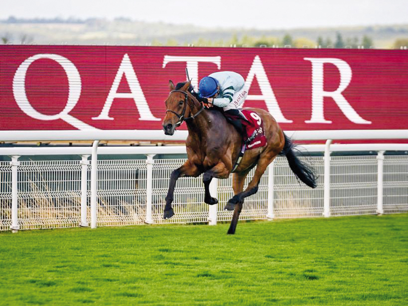 Jockey Tom Marquand guides Quickthorn to Gr.1 Al Shaqab Goodwood Cup Stakes victory at the Qatar Goodwood Festival. Pictures: Dominic James