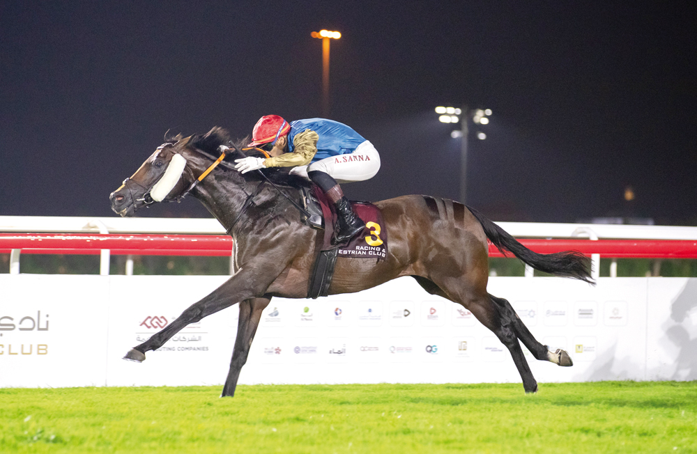 Alberto Sanna steers Equinoxe during race for Al Hamla Cup yesterday. PIC: Juhaim/QREC  