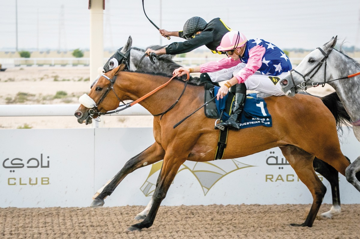 Jockey Lukas Delozier guides Image Du Croate to victory. PICTURES: Juhaim/QREC