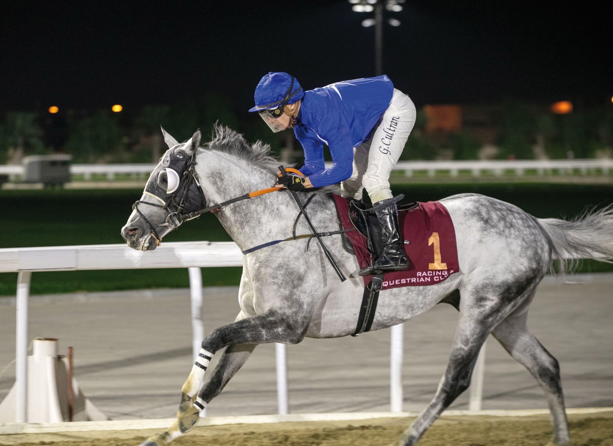 Nijinski Al Maury in action with Giuseppe Cultraro in the saddle. Pictures: Juhaim/QREC