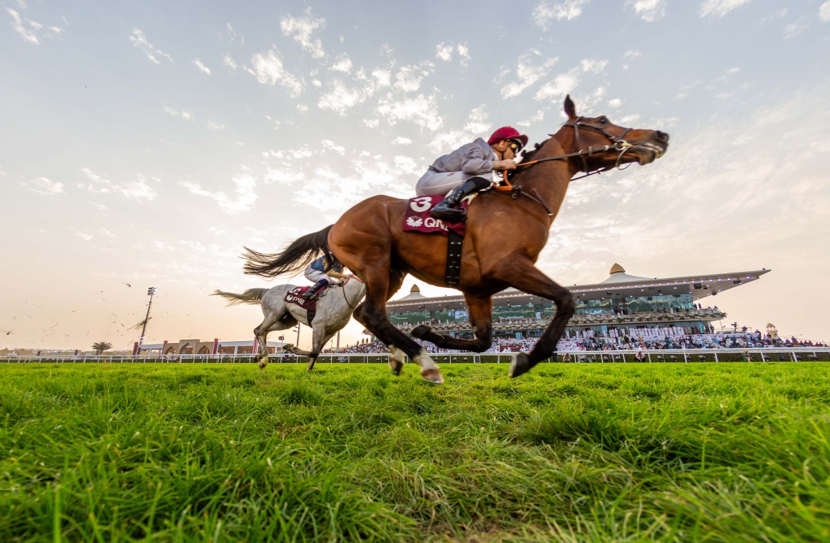 Jockey Christophe Soumillon guides Al Shaqab Racing’s Al Ghadeer to H H The Amir Sword victory on the final day of H H the Amir Sword Festival 2024 at the Al Rayyan Racecourse yesterday. Pic: Juhaim/QREC