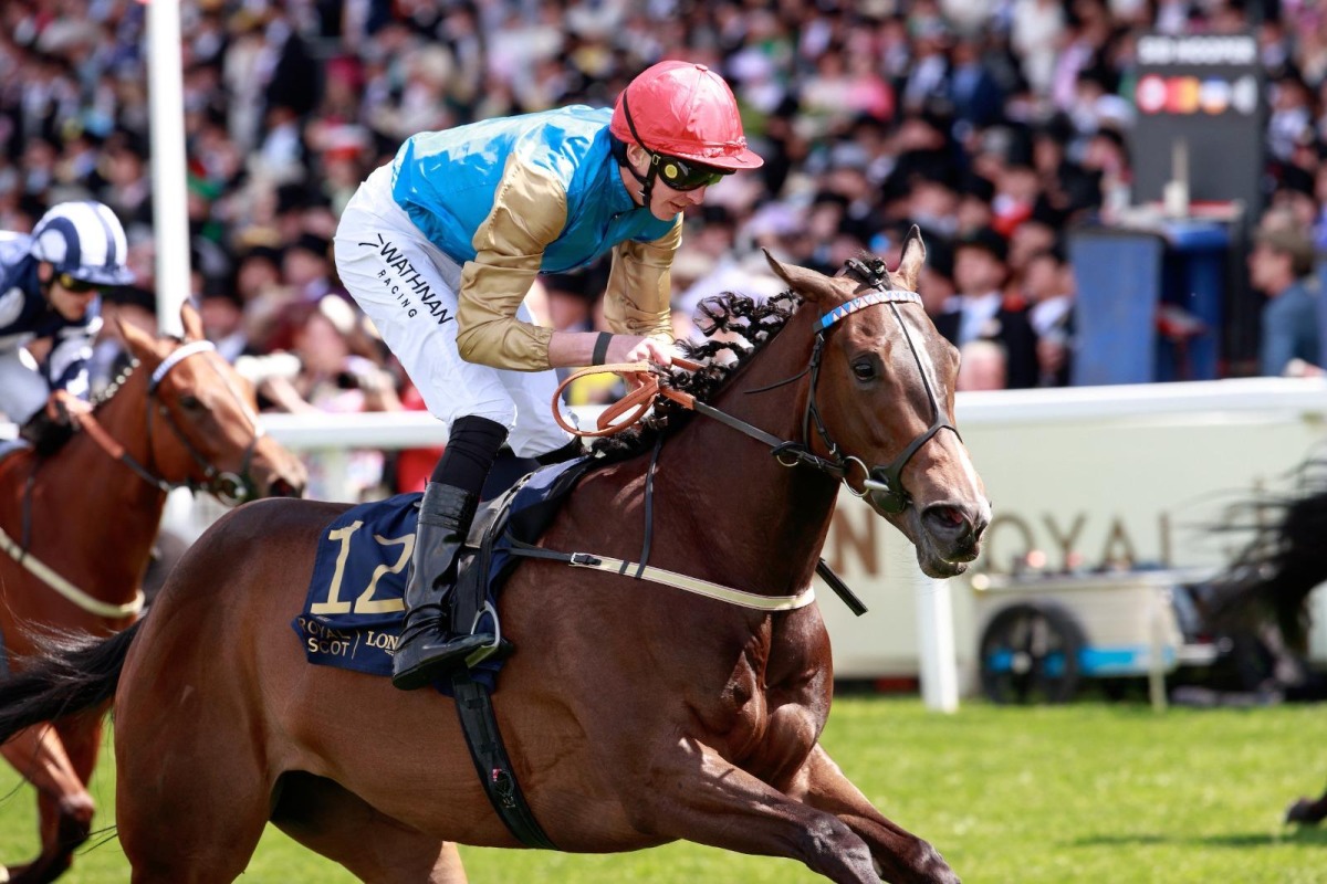 Jockey James Doyle guides Leovanni towards the finish line.