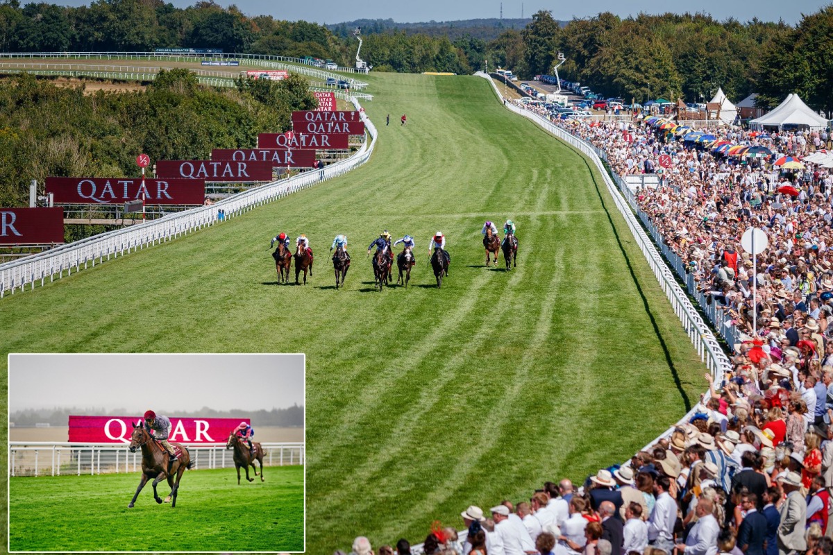 Qatar Goodwood Festival is held for the 10th straight year under Qatari sponsorship through the Qatar Racing and Equestrian Club.