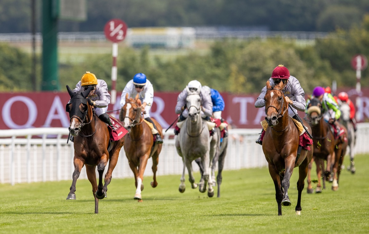 Jockey Christophe Soumillon guides Al Shaqab Racing's Al Ghadeer's to victory in the Gr1/PA contest for Purebred Arabians.
