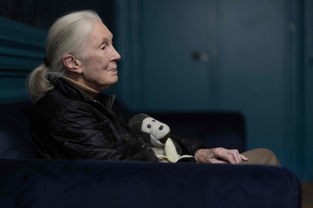 British ethologist and primatologist Jane Goodall poses with her mascott 