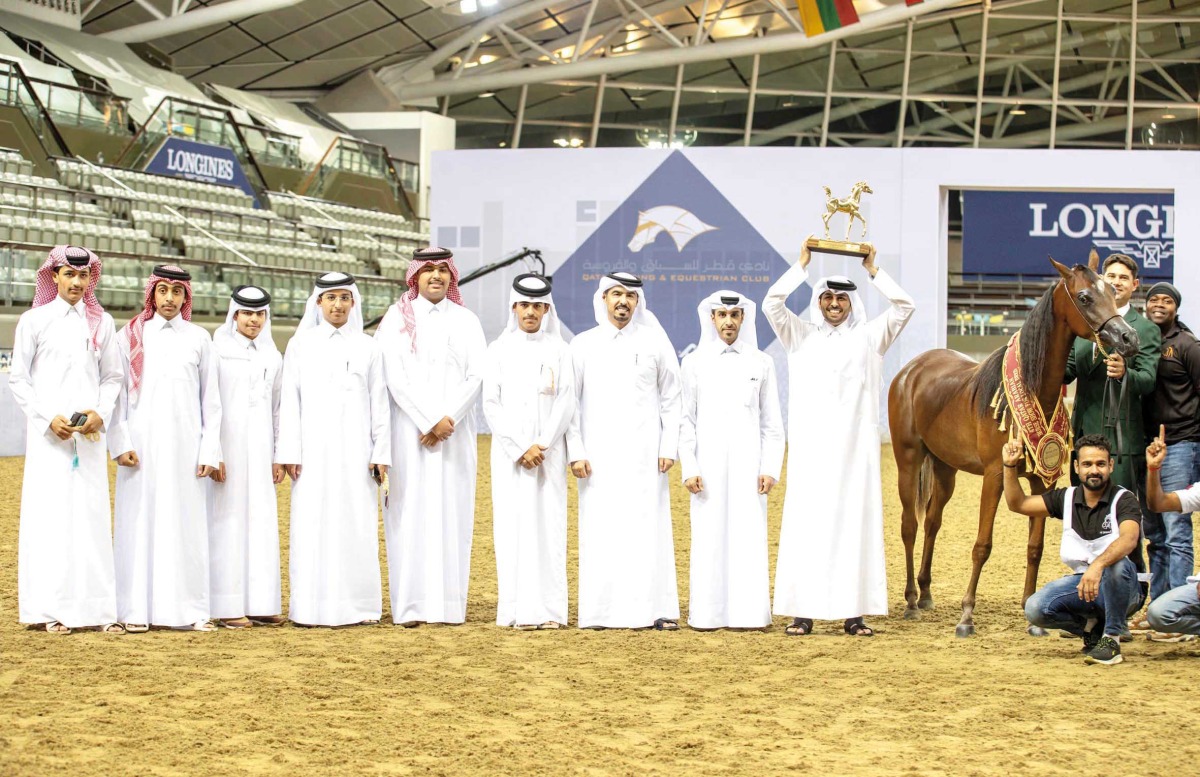 Al Sraiya Stud's Afas Al Rayyan won the Senior Stallions Championship (Class SSC).