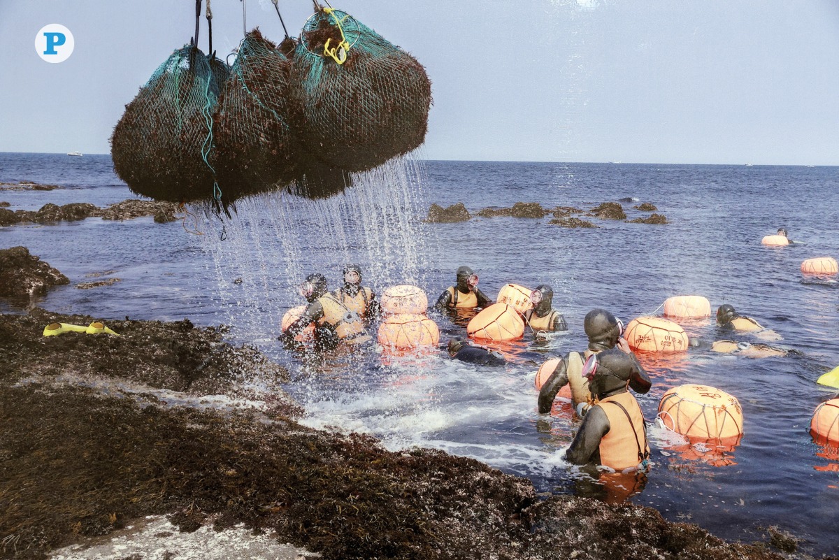 A photo of women divers showcased in the 