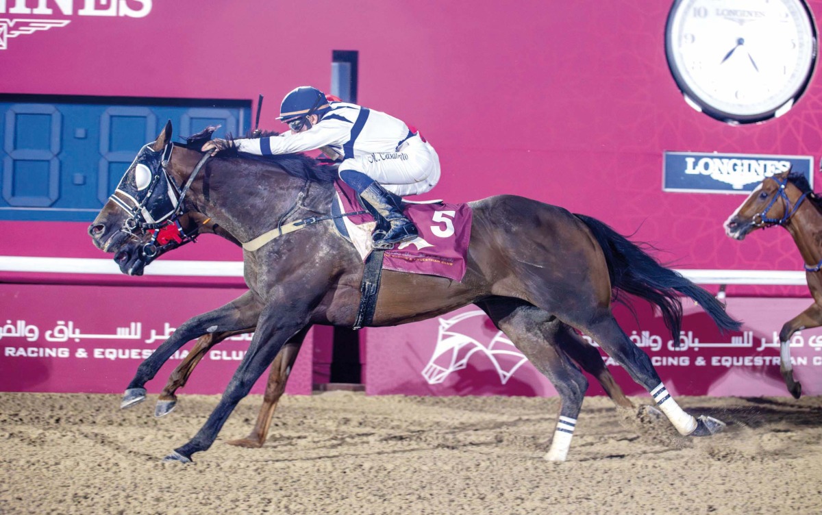 Marco Casamento guides Return To Senders to Rowdat Rashid Cup title at Al Rayyan Racecourse yesterday.  